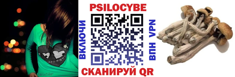 Галлюциногенные грибы Cubensis  магазин продажи   Рославль 